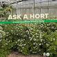 Ask a Hort
