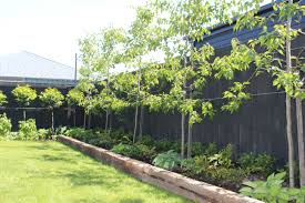 Landscape Design Christchurch Landscape Architecture Dwg Modern Landscaping Landscape Design Christchurch