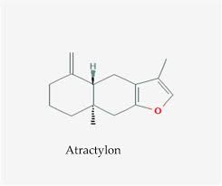 The crown 2016 direct download. Molecular Mechanism Of Action Of Repurposed Drugs And Traditional Chinese Medicine Used For The Treatment Of Patients Infected With Covid 19 A Systematic Scoping Review Medrxiv