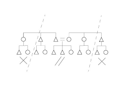 How To Draw Kinship Diagrams The Human Family