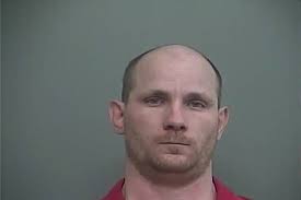 Levi-Rose-1-e1497214418790