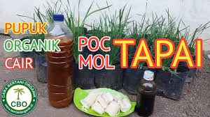 8 woke ig poc cartoonist dropping knowledge on your. Cara Membuat Pupuk Organik Cair Dari Tape Atau Mol Tape How To Make Liquid Organic Fertilizer Youtube