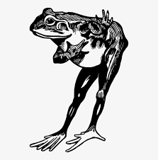 Dreamstime is the world`s largest stock photography community. Toad Edible Frog Drawing Black And White Frogs Black And White Drawing 513x749 Png Download Pngkit