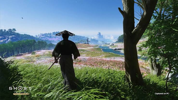 Скриншот игрового процесса Ghost of Tsushima Director's Cut
