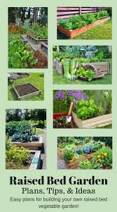 Plans And Ideas For Building A Raised Bed Vegetable Garden Vegetable Garden Planning Garden Layout Vegetable Vegetable Garden Raised Beds