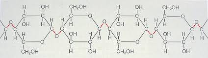 A polysaccharide (c6h10o5)x of glucose units that constitutes the chief part of the cell walls of plants. Prof Blumes Medienangebot Kohlenhydrate