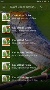 Download mp3 ciblek kristal gacor dan video mp4 gratis. Suara Ciblek Sawah Gacor For Android Apk Download
