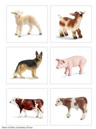 Le guide des animaux de la ferme. Les Animaux De La Ferme Jeu Sur La Correspondance Figurines Cartes Bouts D Choux Et Boutons D Roses