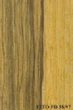 Image result for Terminalia superba