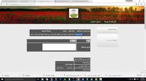 فائدة الحصول على شهادة اتمام البناء المرسال
