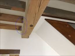 Retrouvez les conditions et modalités de mise en œuvre dans les conditions générales sur notre site internet et à l'entrée de nos magasins leroy merlin ou sur la page de chaque marchand pour les articles signalés vendu par . Poutre Bois 6m