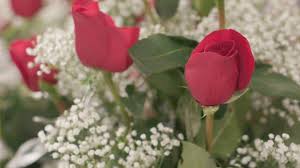 Aug 12, 2021 · when you view their pricing, you're instantly brought to a simple page that outlines whether you want a local number, vanity number, or 800, 888, 877, 866, 855, 844, 833 number. How 1 800 Flowers Com Went From One Shop To 1 2 Billion Revenue