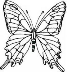 Monarch butterfly coloring page butterfly color page new coloring brockportcc free online 2374 x 1757px 505 88kb. Wild Animals Kids Coloring Pages Free Colouring Pictures To Print Butterfly Coloring Page Flower Coloring Pages Butterfly Printable