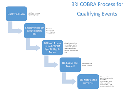The Next Step What Happens When A Qualifying Cobra Event