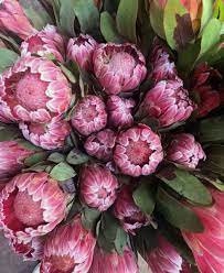 Pin On Wedding Flowers