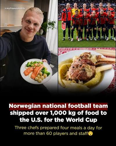 When Viking precision at its absolute finest! you've waited nearly three  decades to make your grand return to the FIFA World Cup, you don't leave a  single thing to chance-not even the