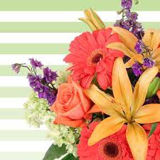 Maybe you would like to learn more about one of these? James Flowers Syracuse Ny Florist Home Facebook