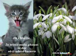 Va propunem o colectie de martisoare online, felicitari si. Poze Blog Poze Ghiocel Martisor
