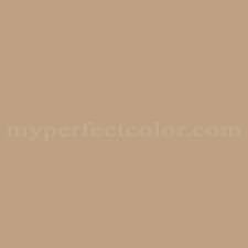 Qap 841 Buckskin Precisely Matched For
