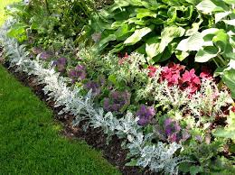 Around The Border Of Each Garden Bed Is Dusty Miller And Red Coleus This Repetition Of Plant Garden Design Magazine Front Garden Landscape Landscape Boarders