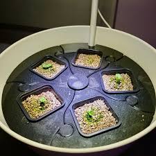 Ikea moves into indoor gardening with hydroponic kit. Github Aabmar Bittergurka Insert Hydroponics Insert For Ikea Bittergurka