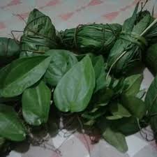 Hasil gambar untuk daun bungkus tiga jari