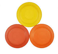 EVA Frisbee for Outdoor Fun - Durable & Customizable