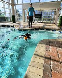 Augustine, florida in 2002, pet paradise resort and day spa® is now located in nine states. Orlando Airport Pet Boarding Pet Paradise