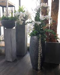 Kunstliche Blumenarrangements Von Bellaplanta Showroom Innovative Dekoration Orchideen Exklusive Pflanzgefasse Kunstpfla Kunstpflanzen Orchideen Pflanzen