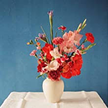 We did not find results for: On Flowers Lessons From An Accidental Florist Merrick Amy 9781579658120 Amazon Com Books