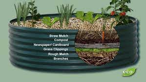 Building A Raised Garden Bed Raised Vegetable Gardens Building A Raised Garden Raised Garden