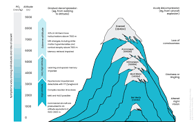 Image result for High Altitude Edema