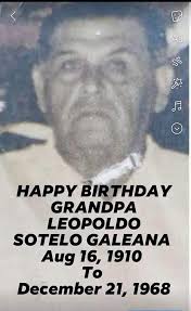 Descendientes de Godoy, Michel, Galeana y Sotelo