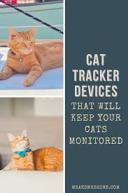 The world's most advanced gps cat collar. Outdoor Cats Tips 7 Cat Tracker Devices That Will Keep Your Cats Monitored If They Play Outside