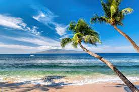 Maybe you would like to learn more about one of these? Mariusz Blach Tropical Beach With Palm Trees Art Print Canvas On Stretcher