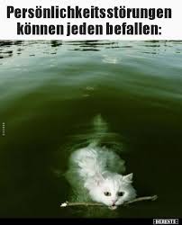 Personlichkeitsstorungen Konnen Jeden Befallen Personlichkeitsstorung Katzen Memes Lustige Katzenbilder