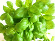 fresh basil to dried basil leaves the conversion ratio