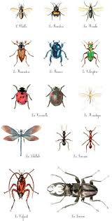 Epingle Sur Nature Et Animaux
