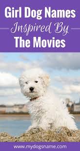 Check out our list of disney dog names here! Names My Dog S Name Girl Dog Names Female Dog Names Dog Names