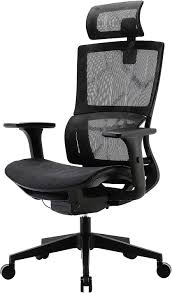 Also is improved to avoid those traditional design weaknesses. Amazon Com Xuer Ergonomic Office Chair With Cozy Lumbar Support And Adjustable 3d Armrest Computer Desk Chair With Mesh Seat And High Back Multifunction For Relaxation Black Home Kitchen