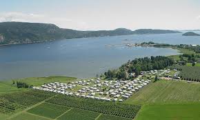 Homannsberget Camping