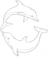 873x1024 Dolphin Drawing Pictures How To Draw Dolphins Step Step Sea Beachdrawingpictures Dolphin Drawing Dolphin Coloring Pages Dolphin Art