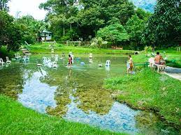 Here are seven for you to visit in malaysia. 19 Relaxing Hot Springs To Visit For Your Short Getaway In Malaysia Johor Now