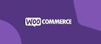 Плагин оплаты QiWi касса для интернет магазина на WordPress WooCommerce