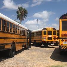Image result for School Bus Yellow 2019 Transit
