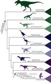 This Family Tree Charts How Dinosaurs Became Modern Birds