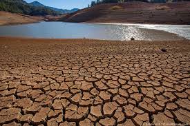 Dry Reservoirs - PH๏τobotanic