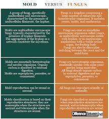 Difference Between Mold And Fungus Difference Between