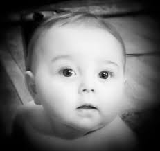 Profile for Donna Roosa Photography