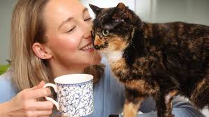 Australia floats controversial curfew